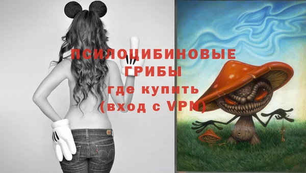 стафф Магадан