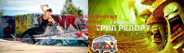 стафф Магадан