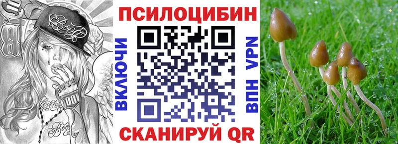 Галлюциногенные грибы мухоморы  Купить закладки  Моршанск 